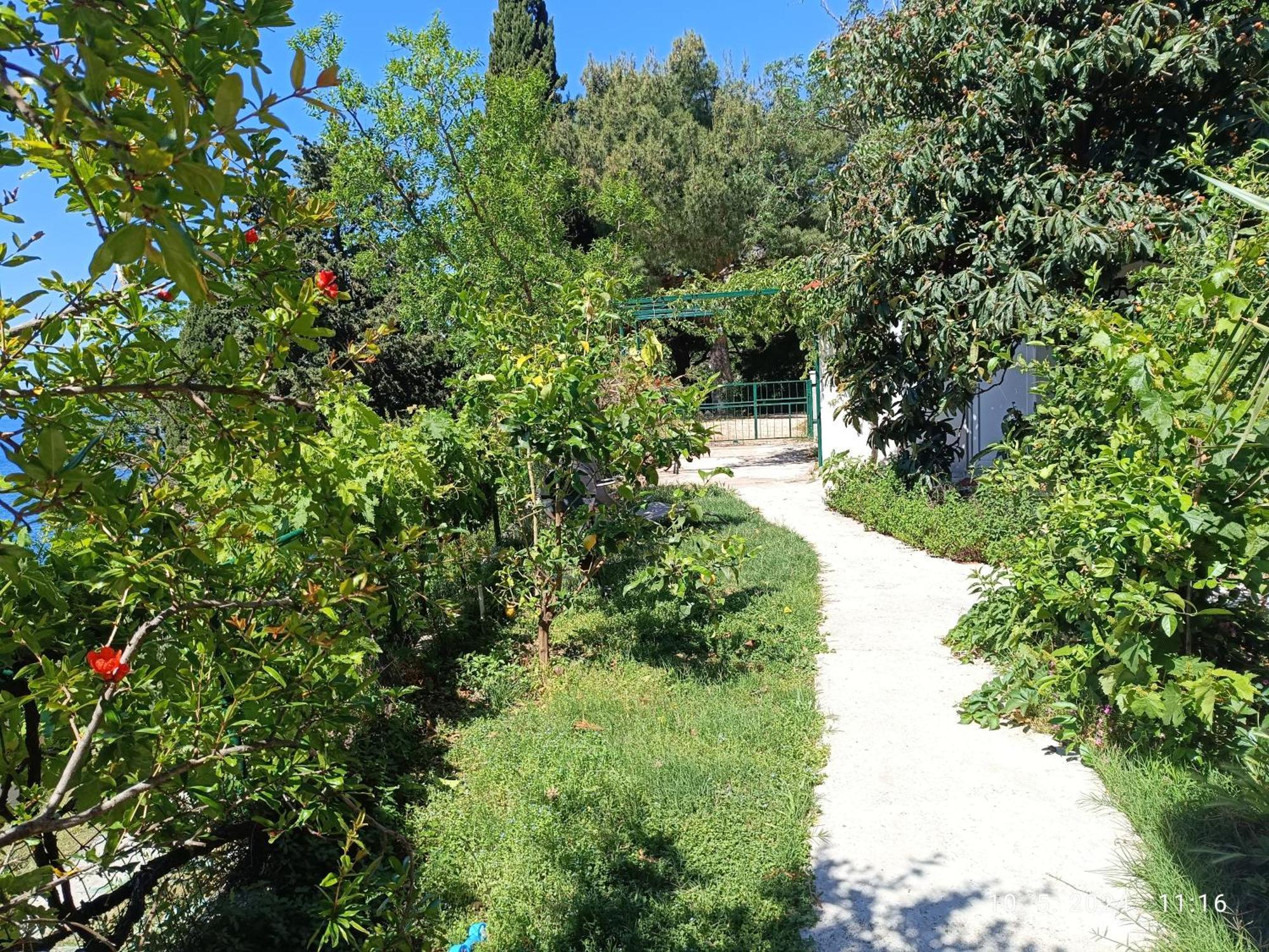 Leonica Appartement Omiš Buitenkant foto